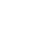 Psychotherapeutic-Resources-flower-logo-white Psychotherapeutic-Resources-flower-logo-white